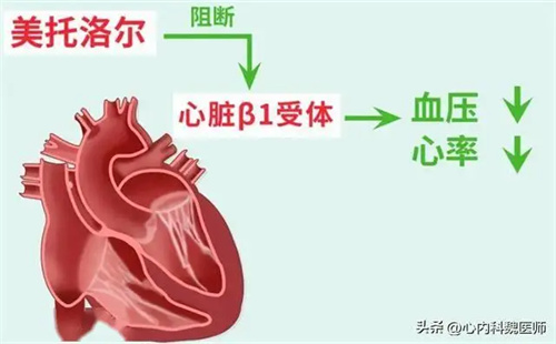图片细节